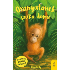 Orangutanek szuka domu