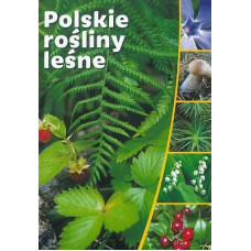 Polskie rośliny leśne